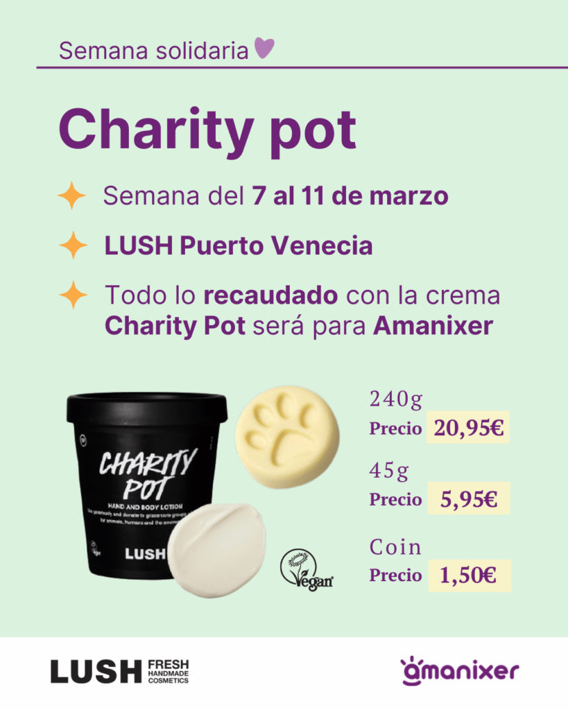 Cartel del evento solidario de Lush para Amanixer