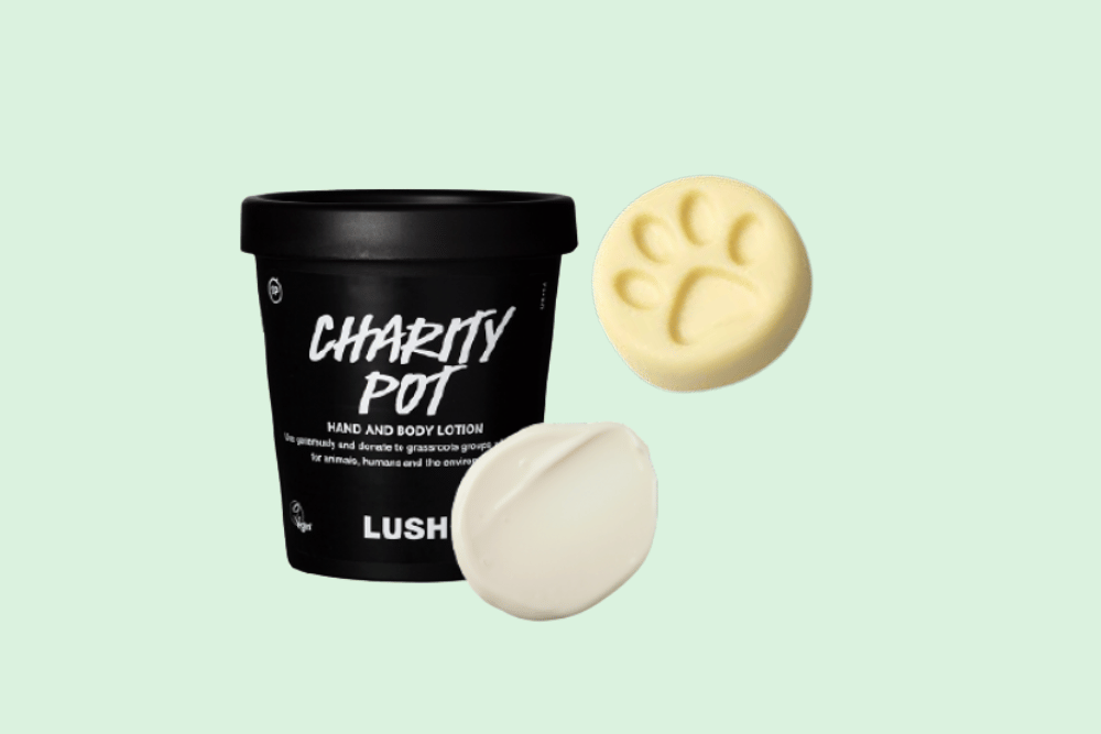 Ilustración de un bota de crema de Charity Pot de Lush y el formato coin